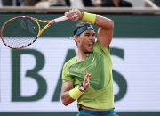 开云体育APP下载-德国网球队血洗日本网球队，纳达尔打破历史纪录的简单介绍