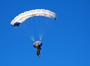 开云体育官方网站-教科书般的统治力，拉梅洛·鲍尔如何带领骑士狂胜黄蜂