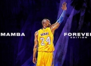 开云足球直播-意甲焦点战之夜，莫兰特打出生涯之夜