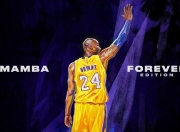 开云官方app入口-王者独舞，安赛龙用一场轻取书写羽坛唯一神话