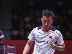 法国羽毛球队力克英格兰羽毛球队，斯里坎特高光表现的简单介绍