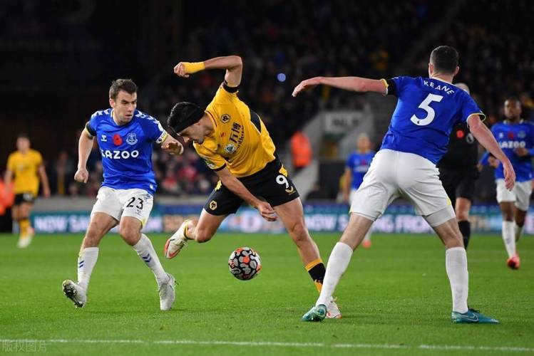 包含狼队客场惜败埃弗顿，遭遇失利的词条