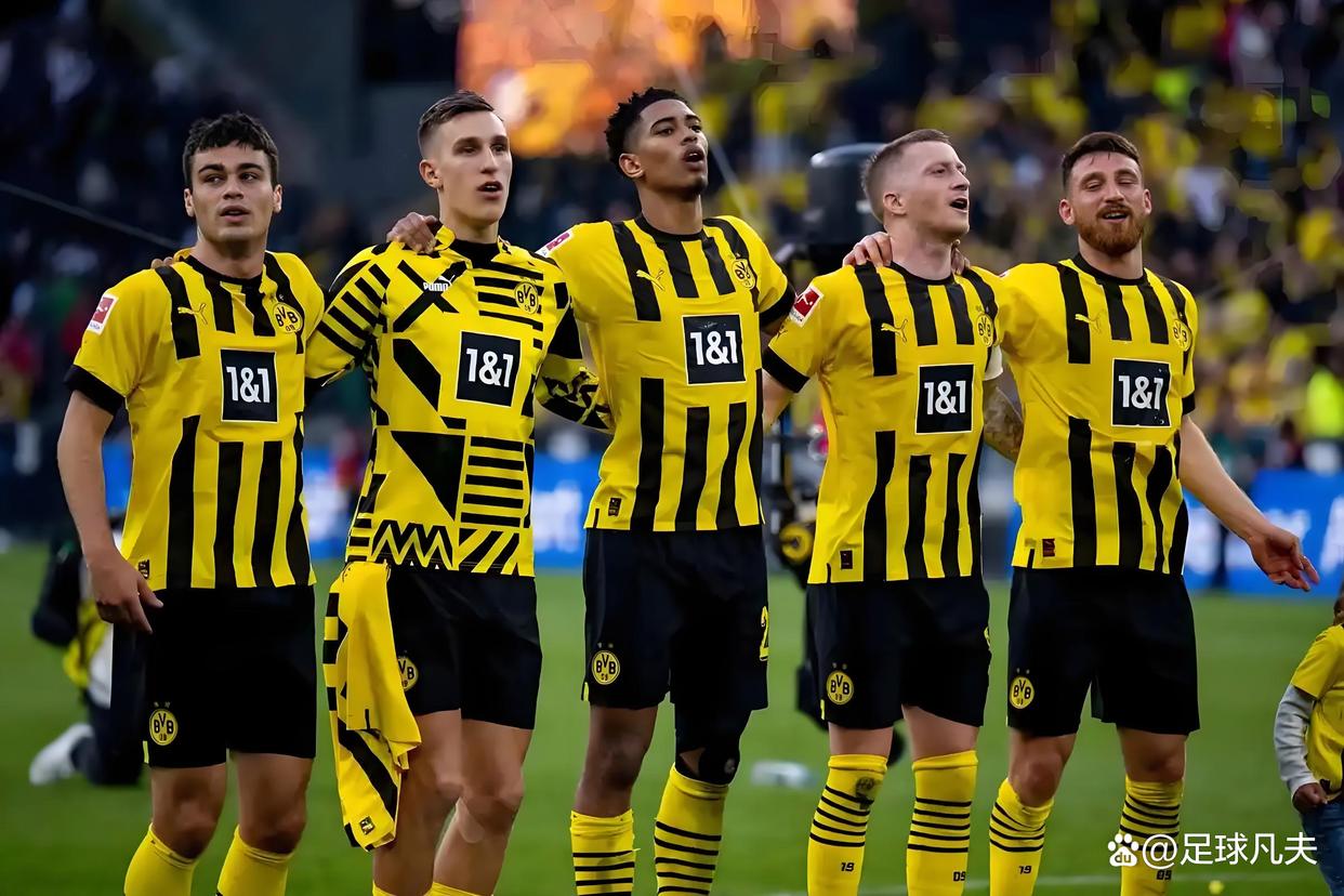 包含奥格斯堡击败汉堡，积分榜上升的词条