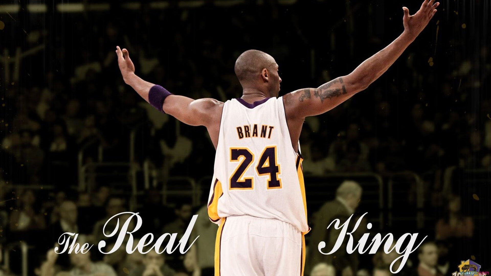 安赛龙独木成林，丹麦队力克印度队彰显团队领袖的非凡价值