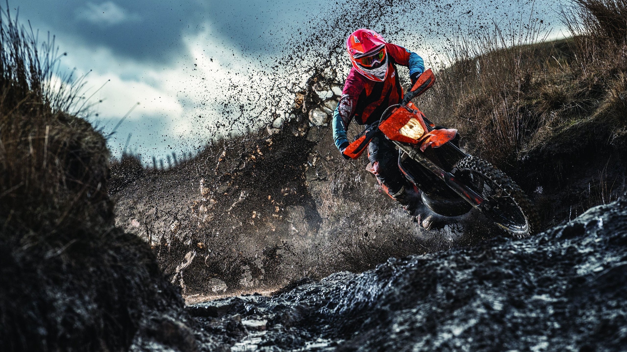 赛道风云，皮亚斯特里关键制胜，索伯车队横扫梅赛德斯